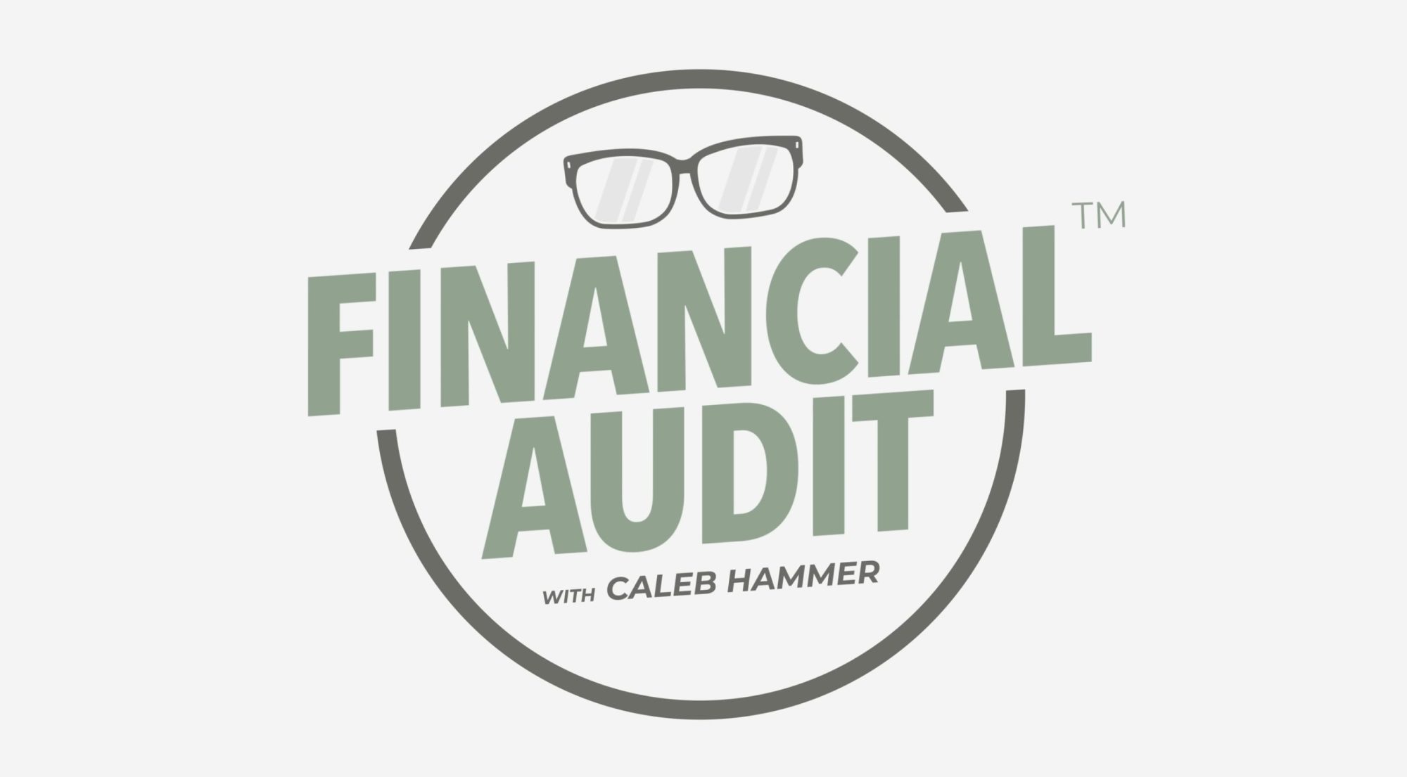 A screenshot of the Financial Audit branding