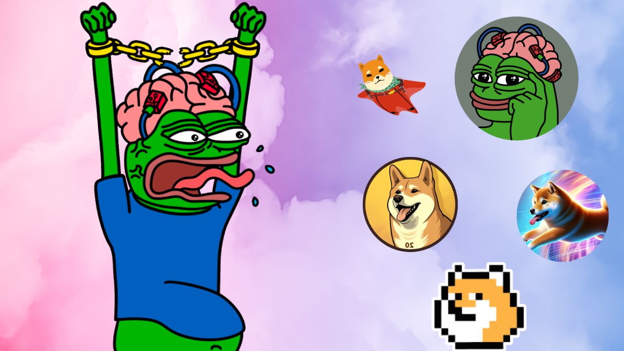 An image of a pepe shouting at a number of other memes