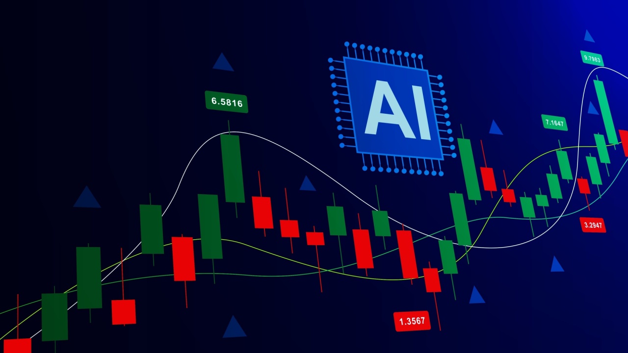 shay boloor net worth