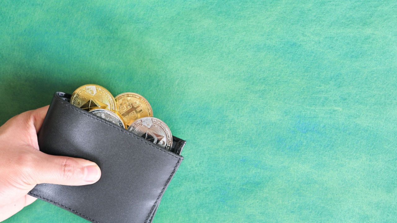 best trust wallet alternatives