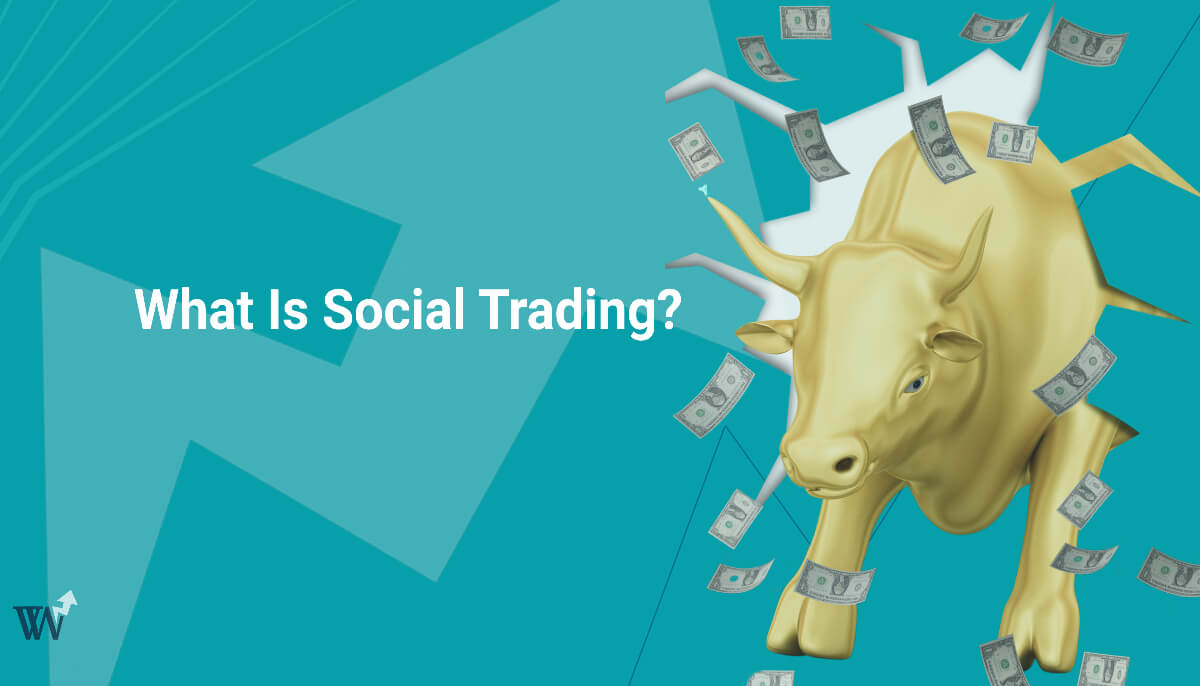 What Is Social Trading featured image